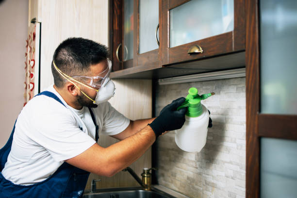 Flea Control Services in Miramar, FL