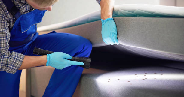 Best Pest Control for Restaurants  in Miramar, FL