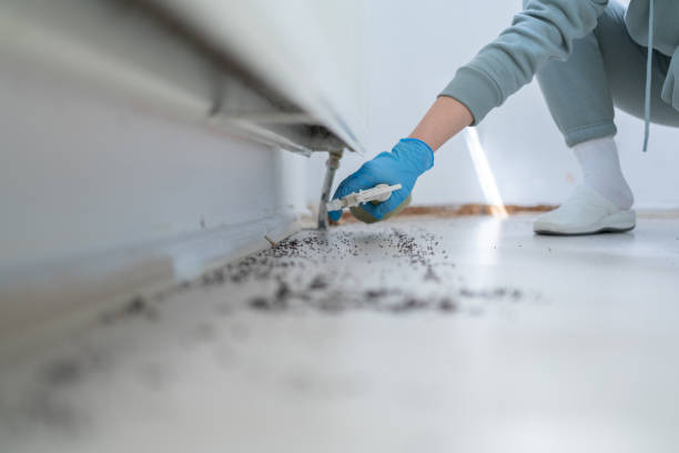 Best Emergency Pest Control  in Miramar, FL